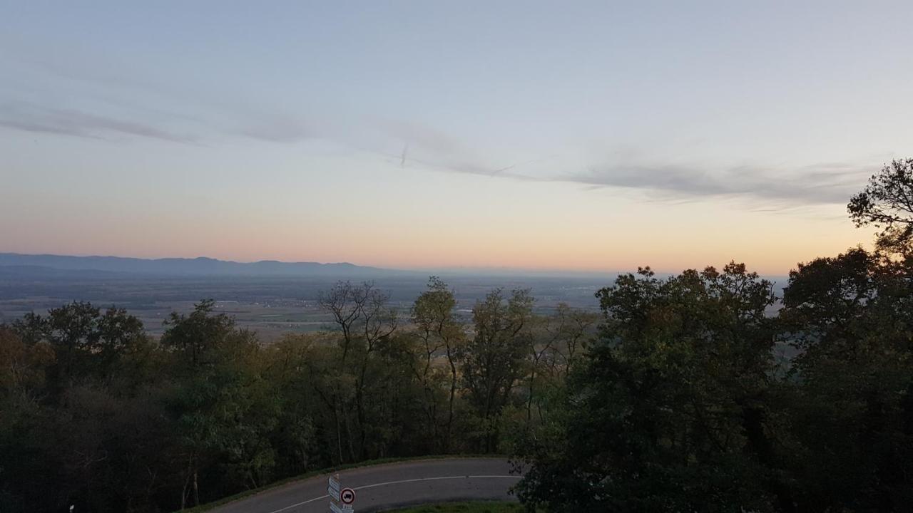 Domaine Du Haut-Koenigsbourg Orschwiller Exteriér fotografie