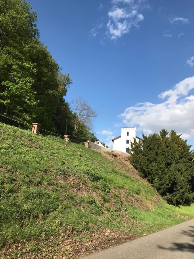 Domaine Du Haut-Koenigsbourg Orschwiller Exteriér fotografie